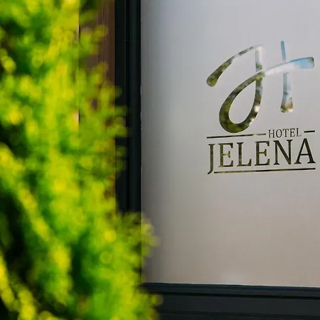 Jelena Banja Luka
